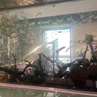 خدمه برای سالن زیبایی