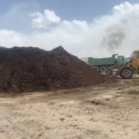 کود گوسفندی