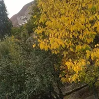 آپارتمان اجاره ای