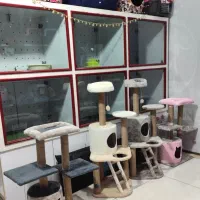 اسکرچر گربه لوازم پت شاپ