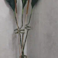 سه شاخه گل بامبو(مصنوعی)