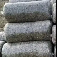 زرت|لوازم جانبی حیوانات|سجاس رود, |دیوار