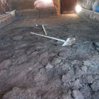 کود گوسفندی