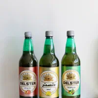 دلستر با طرح فروش عالی