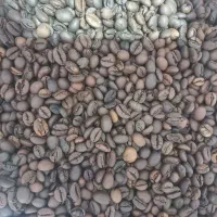 استخدام کارگر خانم