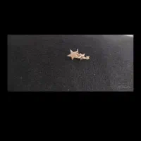 ی لنگه گوشواره گم کردم