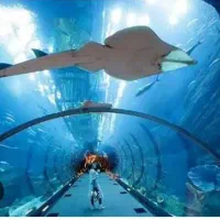 کیش هتل ۵ ستاره تا ۳ ستاره همه روزه