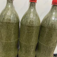 نعناع درجه یک