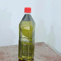 روغن زیتون/ اصل طارم|خوردنی و آشامیدنی|رشت, آزادگان|دیوار