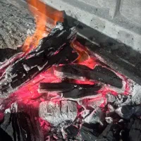 زغال|عمدهفروشی|بیرجند, |دیوار