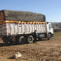 فروش کاه نخود