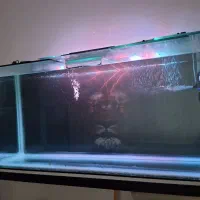 اکواریوم بزرگ درحدنو با لوازم