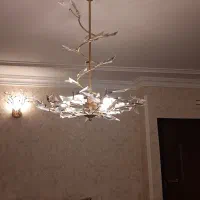 دو عدد لوستر چهار شاخه|لوستر و چراغ آویز|رشت, استادسرا|دیوار