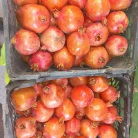 رب انار ارگانیک خونگی|خوردنی و آشامیدنی|جوادآباد, |دیوار