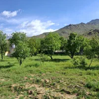 باغ در سرکان