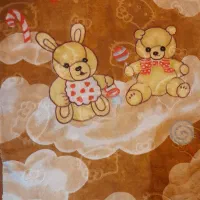 دوتا پتوی بچگانه|رختخواب، بالش، پتو|پردیس, فاز ۱۱|دیوار