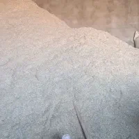 کاه خارشتری یونجه