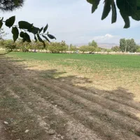 چهار-دیواری