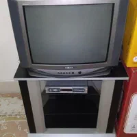 تلویزیون