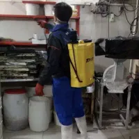 شرکت تخصصی سمپاشی ( سم پاشی اصولی و تضمینی )