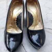 کفش مجلسی|کیف، کفش، کمربند|بوشهر, |دیوار