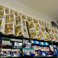 روشنایی گازی