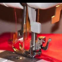 خدمات بانوان