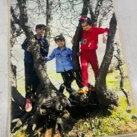 کادو ، تولد ...|تابلو فرش|کلاچای, |دیوار