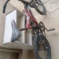 دوچرخه 20 تایوانی