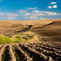 فروش زمین کشاورزی