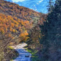 زمین-با-ویو-ابدی