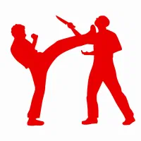 آموزش خصوصی دفاع شخصی خیابانی+بدنسازی‌در۹جلسه/مربی