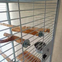 قفس پرنده|لوازم جانبی حیوانات|شیراز, درکی|دیوار