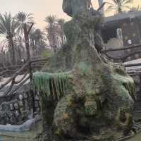 باغ دو هزار متر جم نیلاب باسندثبت وچاه اب5 ملیارد|فروش دفتر صنعتی، کشاورزی، تجاری|جم, |دیوار