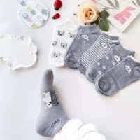 جوراب|لباس|پردیس, فاز ۱۱|دیوار