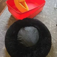 اکسسوری گربه