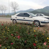 زانتیا مدل 85