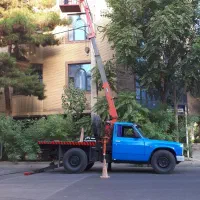 جرثقیل نیسان، سبد بالابر و خودروبر
