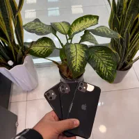 Iphone 11 128 za/a از دم قسط و نقدی|موبایل|کرج, مهرویلا جنوبی|دیوار
