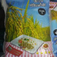 برنج کامفیروزی به شرط