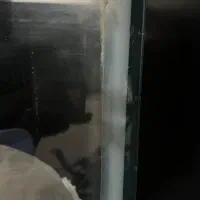 آکواریوم|ماهی|قم, زنبیل آباد|دیوار