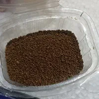 یک عدد آکواریوم سالم به همراه وسایل|ماهی|تربت‌حیدریه, رضاشهر|دیوار