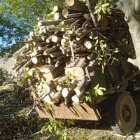 خریدار انواع چوب درخت|خدمات باغبانی و درختکاری|ایلام, |دیوار