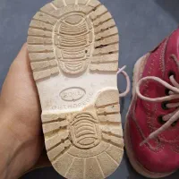 کفش طبی|کیف، کفش، کمربند|سوسنگرد, |دیوار