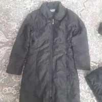 دوتا پالتویکیش بارونی هستش