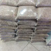 شن عربی،شن آکواریوم