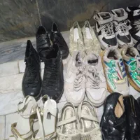 کفش|کیف، کفش، کمربند|قم, ولیعصر|دیوار