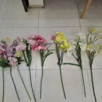 گل های شاخه بلند شکوفه ۹ عدد