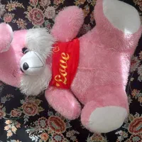 خرس پشمی|اسباببازی|نهاوند, |دیوار