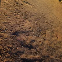 مشاوره معادن